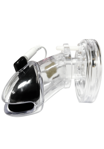 16833_CLEAR_06
