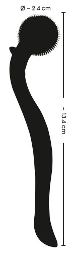 50036600000_nor_g