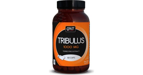 tribulus